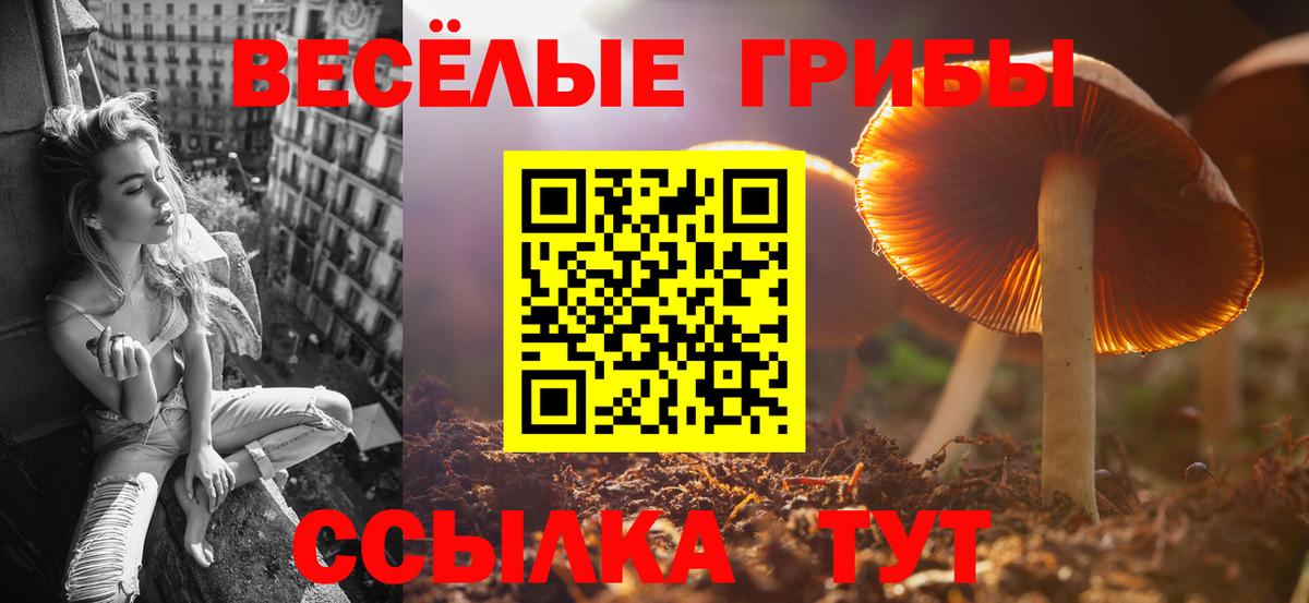 Кудрово  Псилоцибиновые грибы мицелий  Вход с VPN 