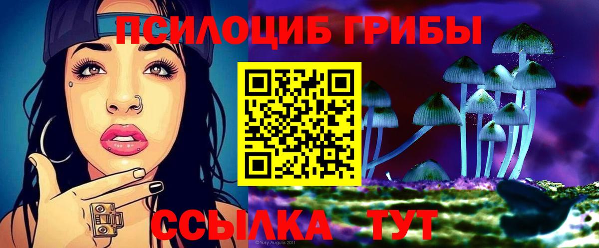 Псилоцибиновые грибы MAGIC MUSHROOMS Кудрово